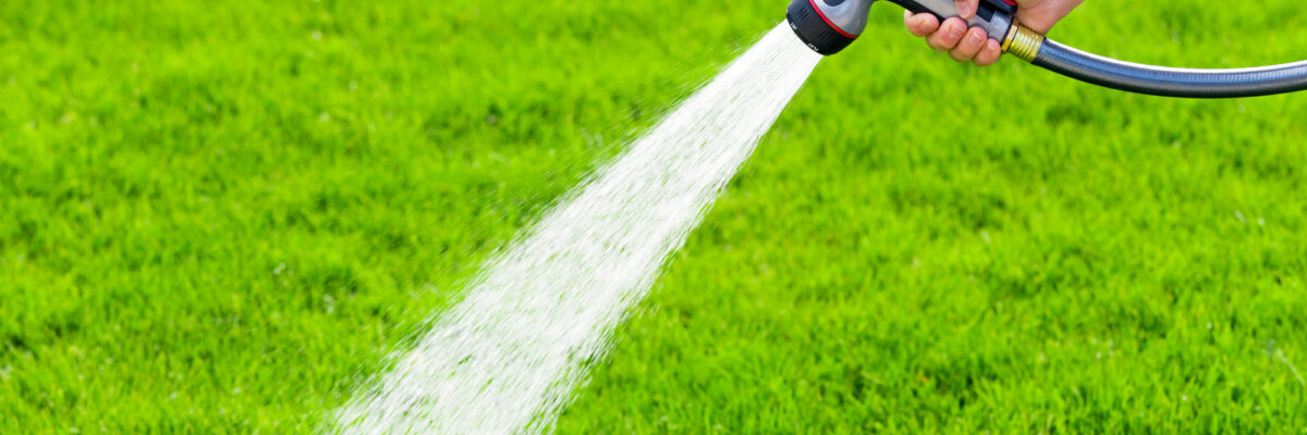 How to Avoid the Most Common Lawn Care Mistakes at All Costs
