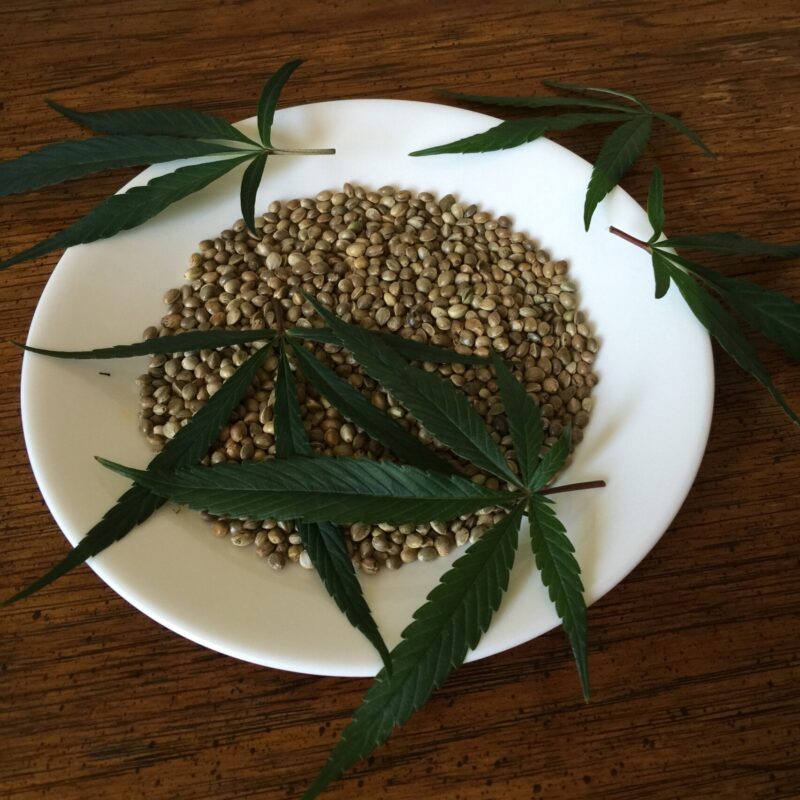 Whipping Up Something Edible…: This Is How to Cook With Cannabis