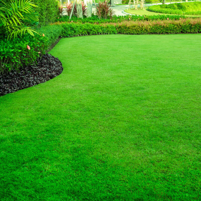 The Grass is Always Greener: Lawn Care Tips for Homeowners